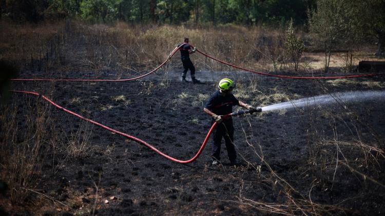 Incendies en France : situation préoccupante dans plusieurs régions