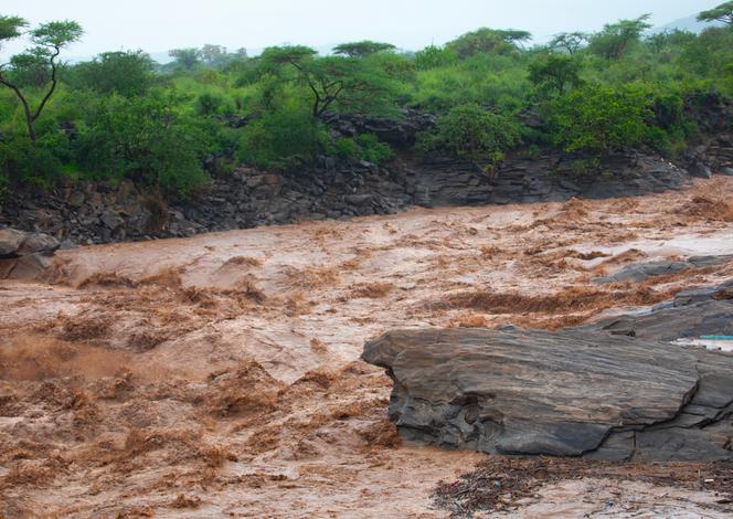 L&rsquo;impact imminent d&rsquo;El Niño sur l&rsquo;Afrique de l&rsquo;Est