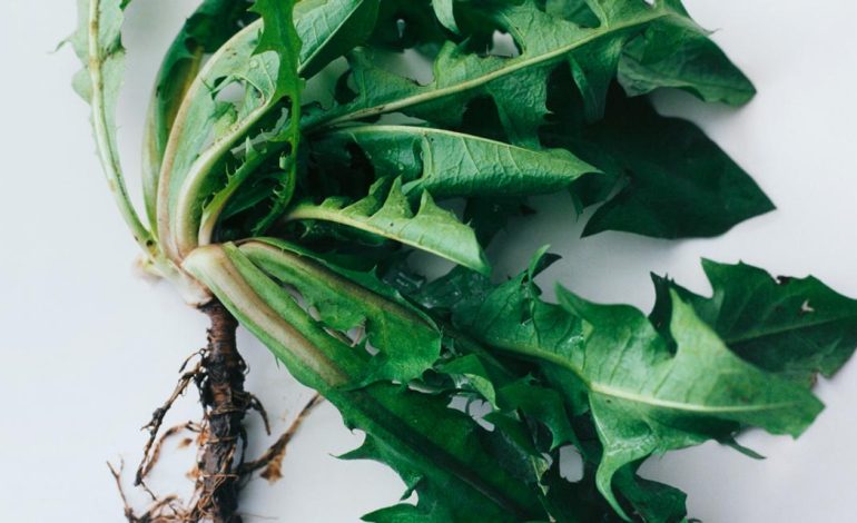 Plats nutritifs pour sportifs : une alimentation naturelle et équilibrée