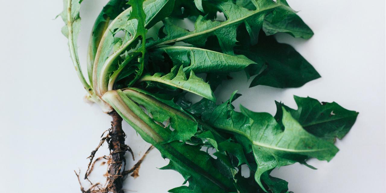 Plats nutritifs pour sportifs : une alimentation naturelle et équilibrée