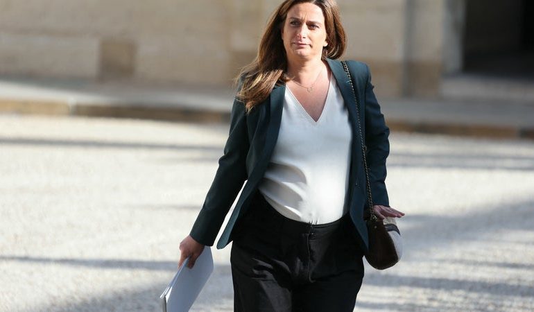 Marine Tondelier: Campagne présidentielle et maternité