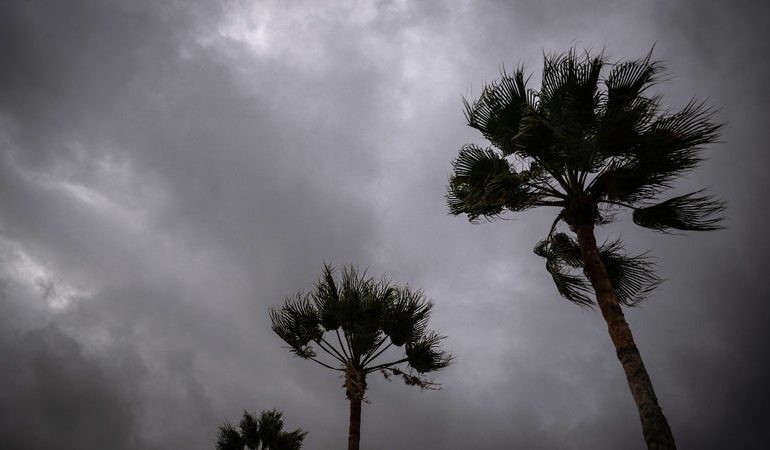L&rsquo;impact dévastateur de l&rsquo;ouragan Polo en Basse-Californie du Sud
