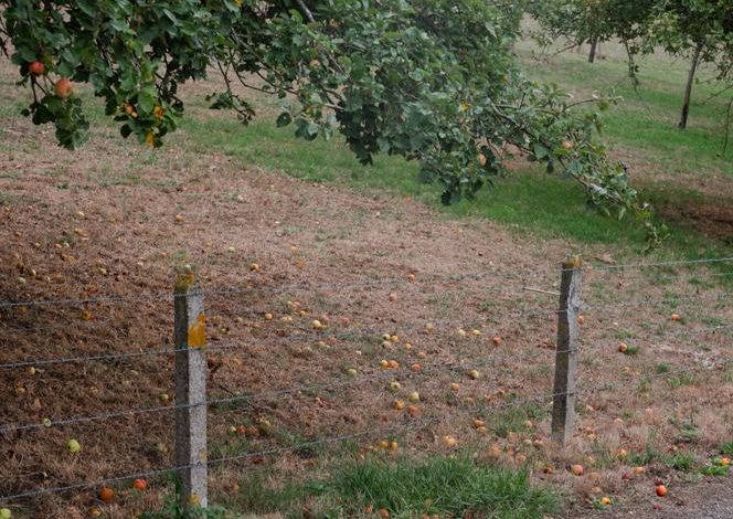 Repensons la gestion de l&rsquo;eau face à la sécheresse