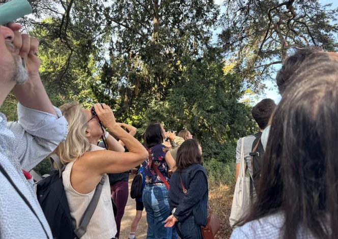 Découverte de la biodiversité aviaire au Festival du Monde