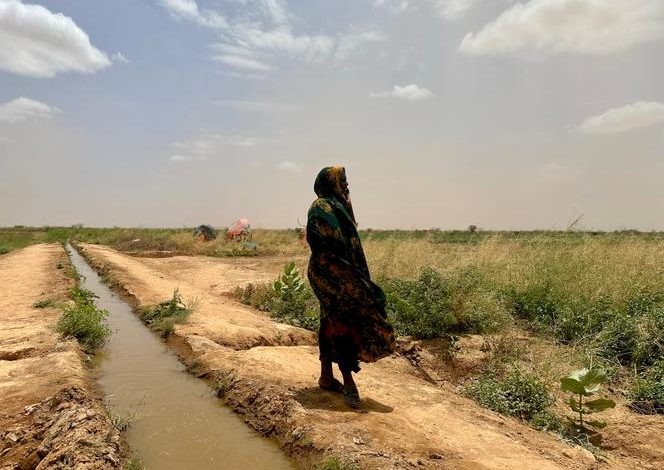 L&rsquo;impact de la sécheresse sur les pasteurs nomades en Éthiopie