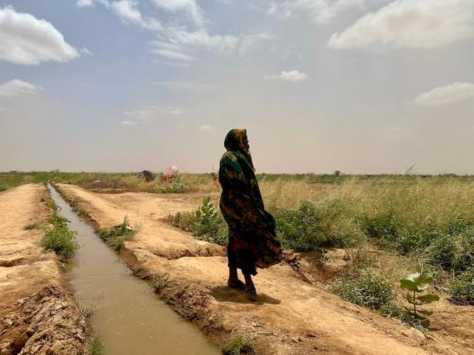 L&rsquo;impact de la sécheresse sur les pasteurs nomades en Éthiopie