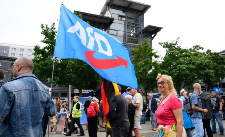 L&rsquo;AfD et ses enjeux électoraux en Allemagne