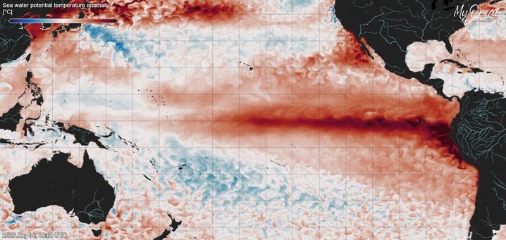Surveillance et Impact de l&rsquo;Épisode El Niño Actuel
