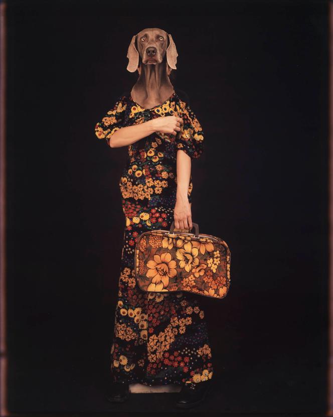 Expositions d&rsquo;automne : Sélection d&rsquo;événements artistiques captivants