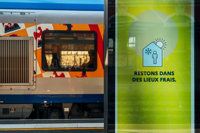 Vagues de chaleur persistantes et records de température