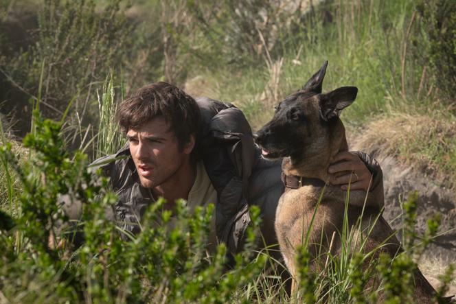 Les chiens dans le cinéma américain : une redéfinition de la masculinité