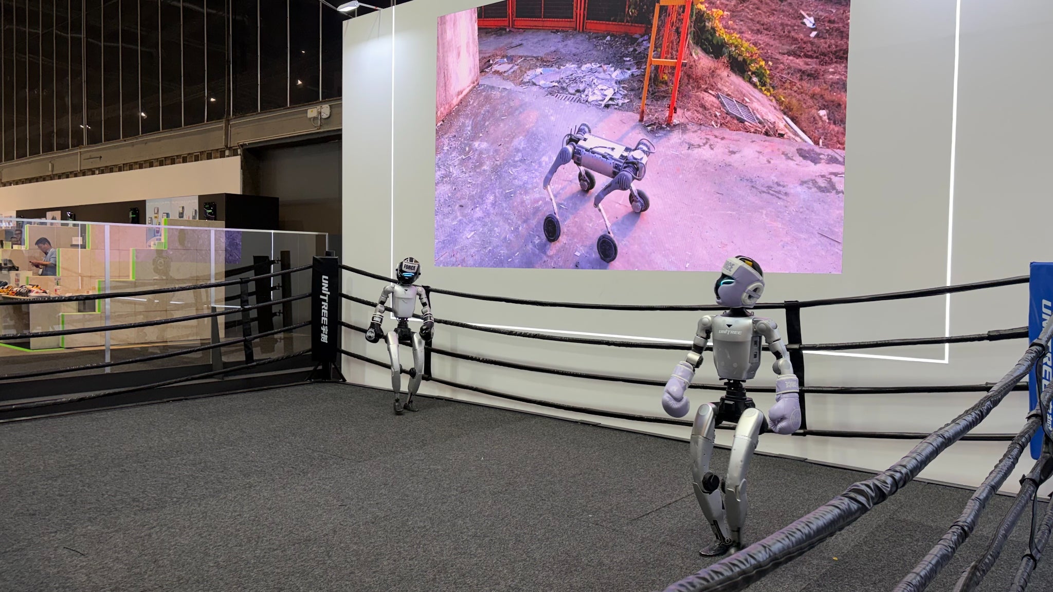 Combats de robots humanoïdes à l&rsquo;IFA 2026 : une question de sécurité