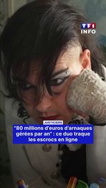 Deux experts unissent leurs forces pour lutter contre les arnaques en ligne