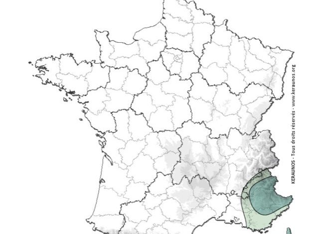 Les orages persisteront dans le sud-est de la France