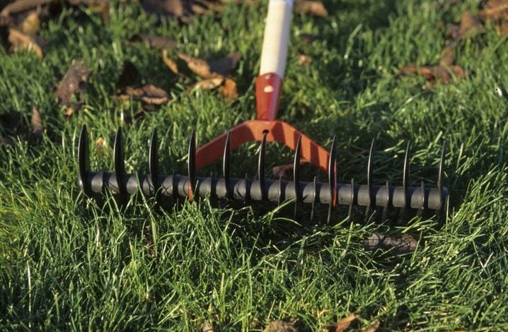 Comment redonner vie à votre pelouse après un été sec