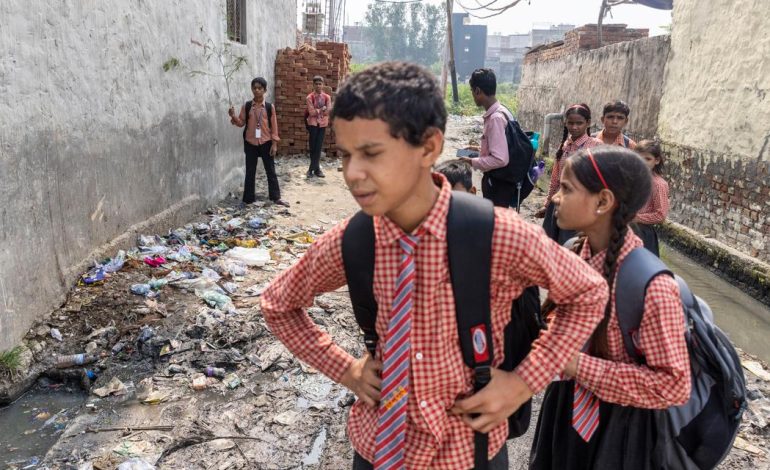 Le Parti du Peuple Cafard : Un Mouvement Audacieux en Inde
