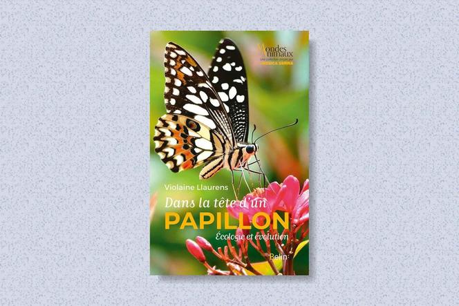 Les secrets fascinants des papillons dévoilés par Violaine Llaurens