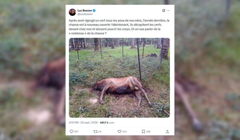 Luc Besson dénonce à nouveau la mise à mort d&rsquo;un cerf sur sa propriété