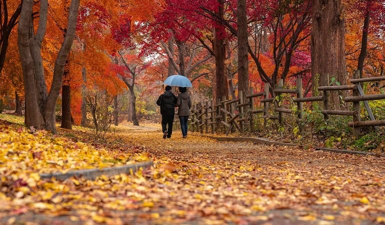 L&rsquo;automne : une saison lucrative pour les créateurs de contenu et les marques