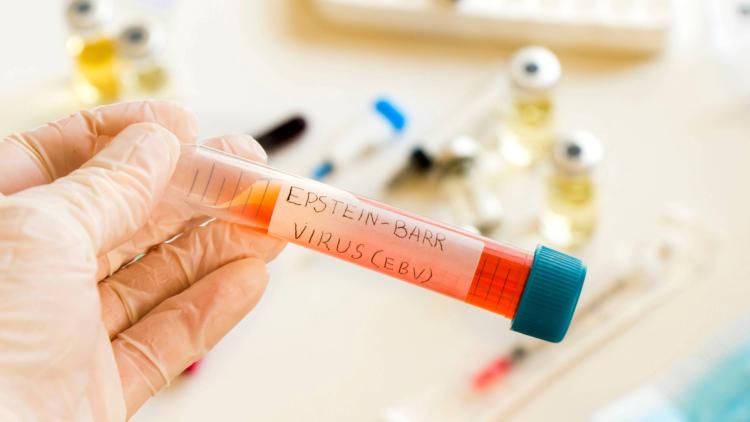 Les Infections et leur Rôle dans le Développement du Cancer