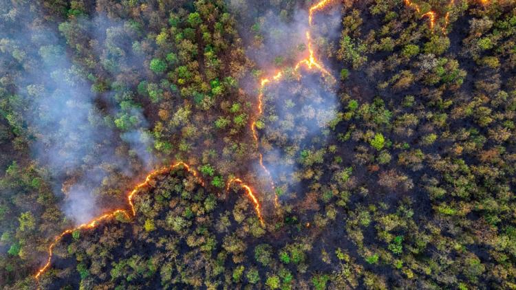 Eutelsat et OroraTech s&rsquo;associent pour renforcer la détection des incendies