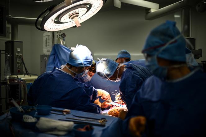 Le CCNE et l&rsquo;avenir des dons d&rsquo;organes