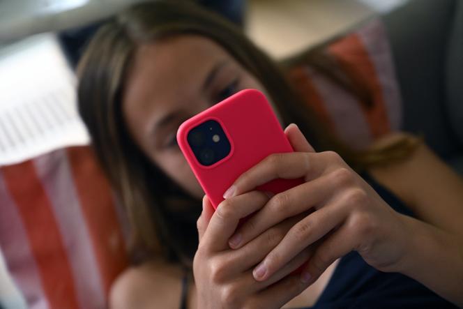 La nouvelle proposition de loi sur les réseaux sociaux en France