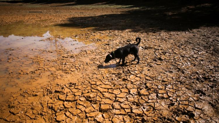 El Niño atteint des records avant son pic de 2027