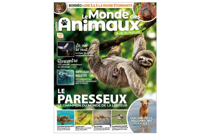 Préparer les animaux à la rentrée : gérer le changement de routine