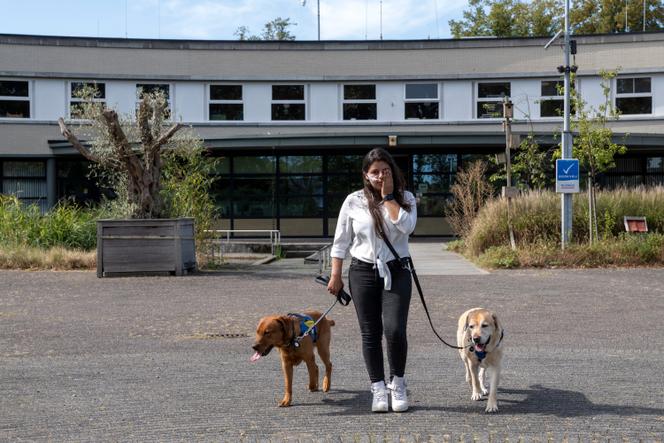 Excuses du gouvernement néerlandais pour le placement d&rsquo;enfants en institutions fermées