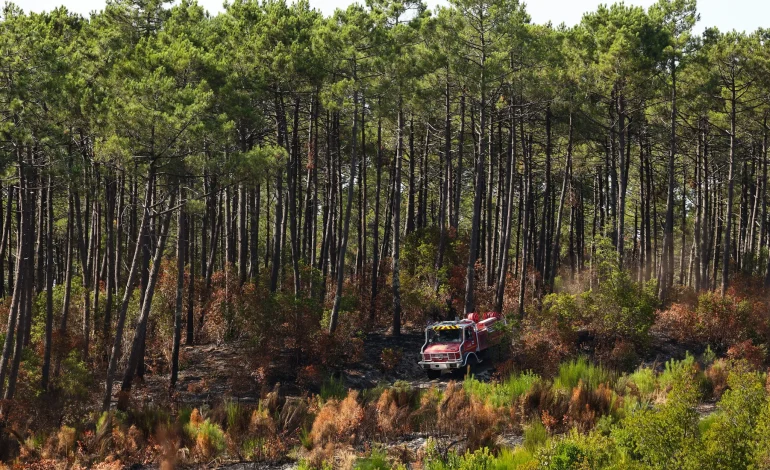 Les incendies en Gironde menacent les recherches de l&rsquo;INRAE