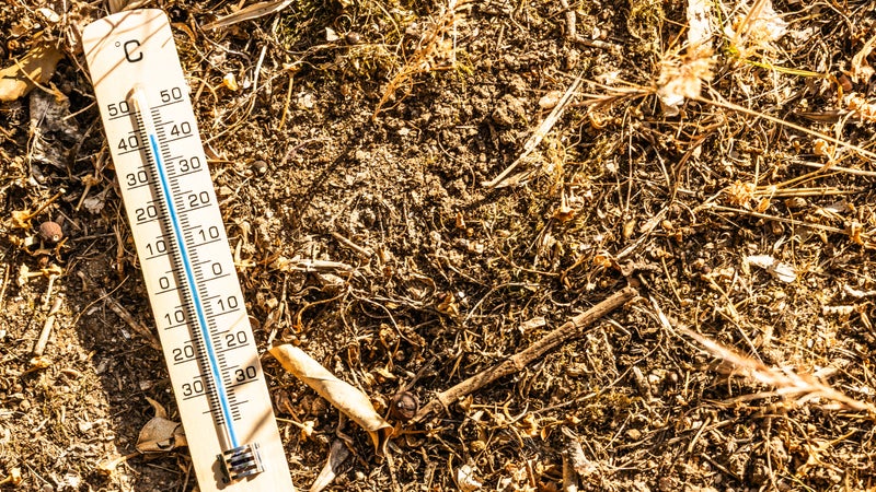 Records de chaleur : Un épisode caniculaire tardif frappe la France