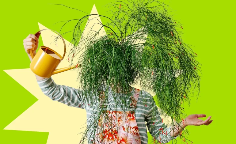 La Timidité des Cimes : Enquête sur un Phénomène Naturel Intrigant