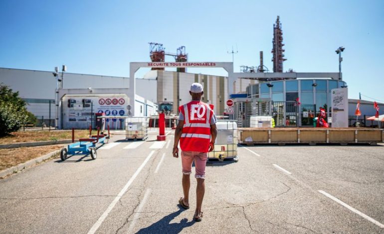 Défis et avenir incertain de Fibre Excellence en France