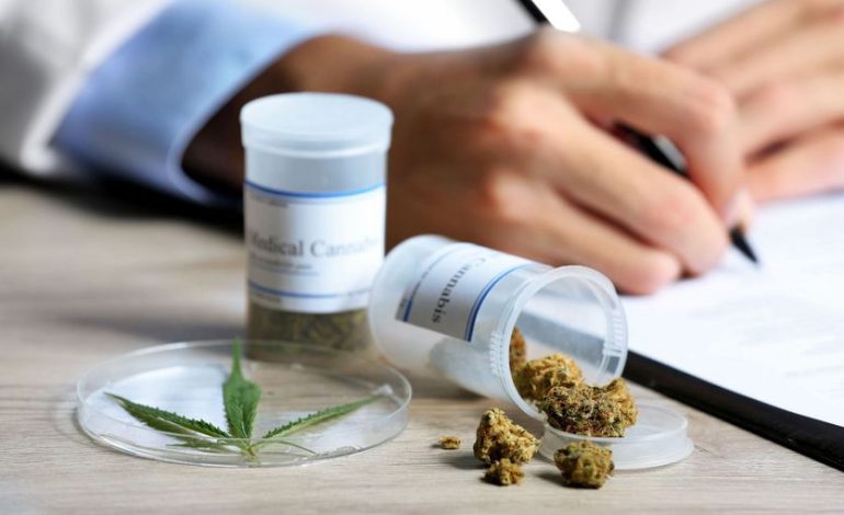 Le Blocage du Cannabis Médical en France