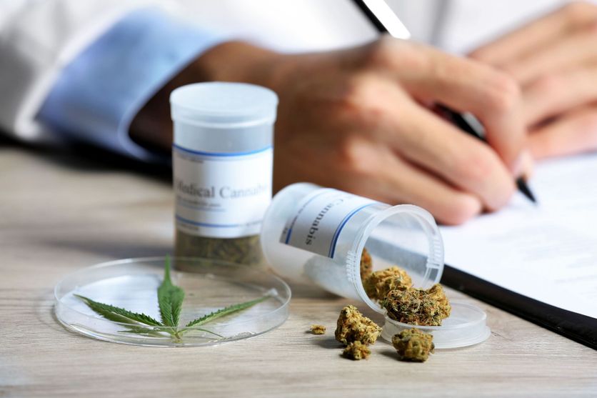 Le Blocage du Cannabis Médical en France
