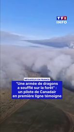 Une armée de dragons a soufflé sur la forêt : un pilote de Canadair témoigne