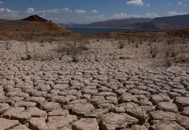 Le Programme des Nations Unies pour l&rsquo;environnement et le réchauffement climatique
