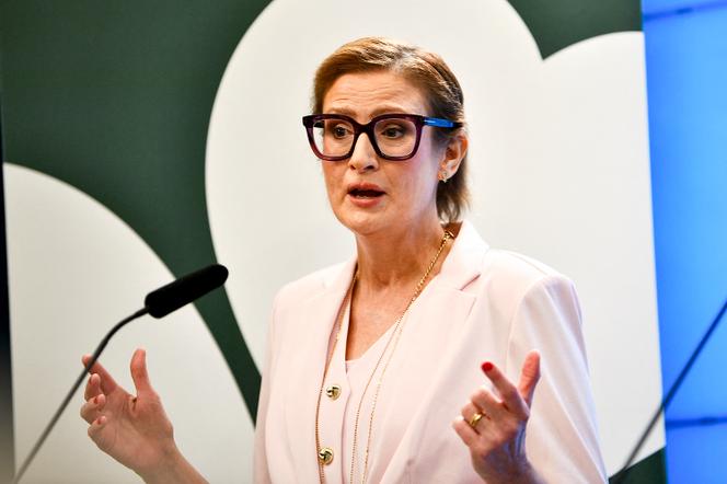Le retour en politique de Birgitta Ohlsson