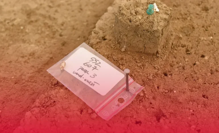 Des fouilles archéologiques à Vitry-sur-Seine révèlent des vestiges préhistoriques