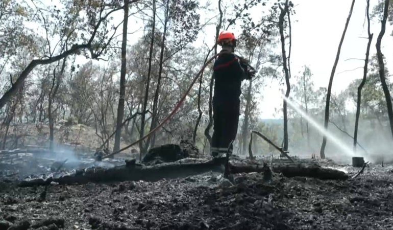 Un risque très élevé d&rsquo;incendie dans les Pyrénées-Orientales