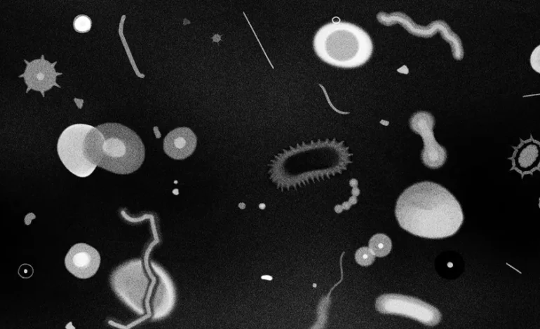 Trois récits horrifiques autour du thème du parasite