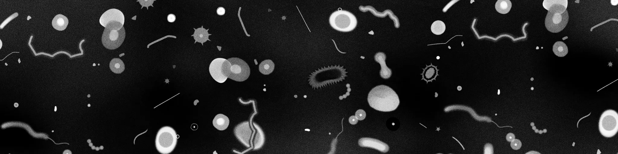 Trois récits horrifiques autour du thème du parasite