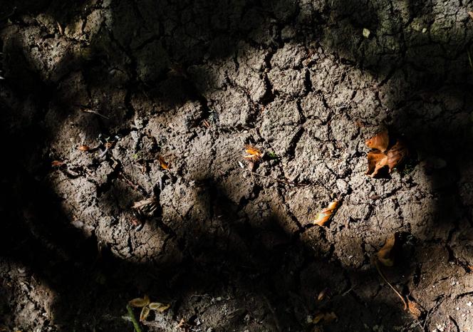 Sécheresse extrême en France affecte les cours d&rsquo;eau