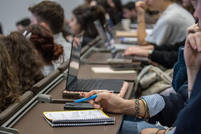 Réflexions sur l&rsquo;avenir de l&rsquo;enseignement supérieur