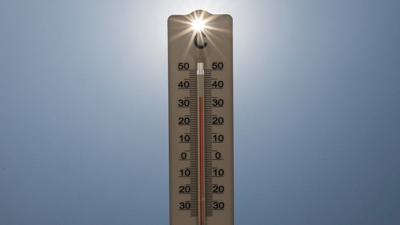 Vigilance orange dans cinq départements en raison de la canicule
