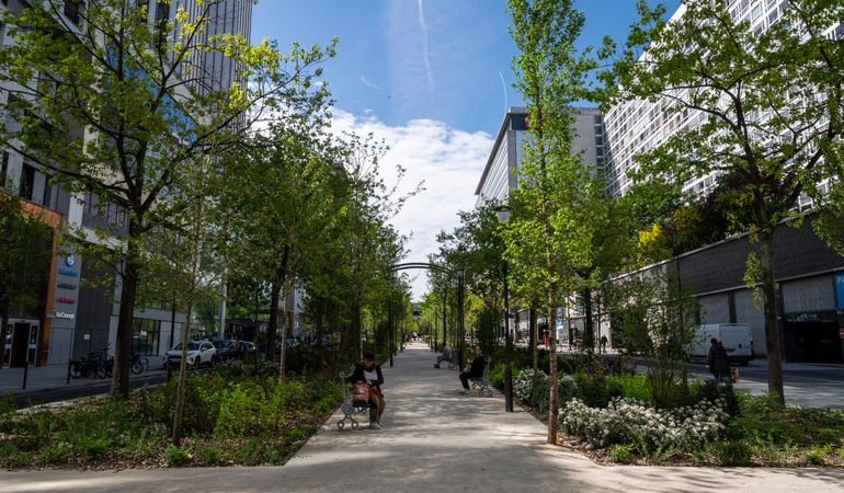 La végétalisation de l&rsquo;allée Lamartine à Pau: un projet ambitieux