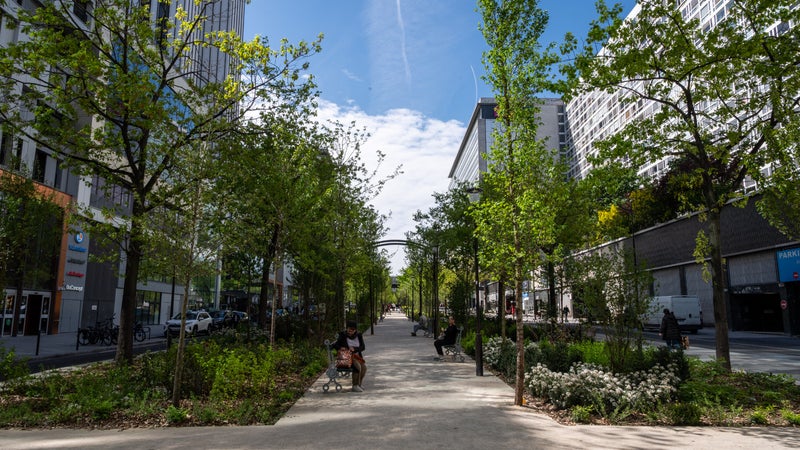 La végétalisation de l&rsquo;allée Lamartine à Pau: un projet ambitieux