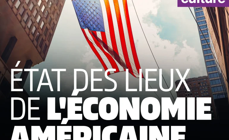 L&rsquo;expansion de l&rsquo;IA et ses impacts sur l&rsquo;économie américaine