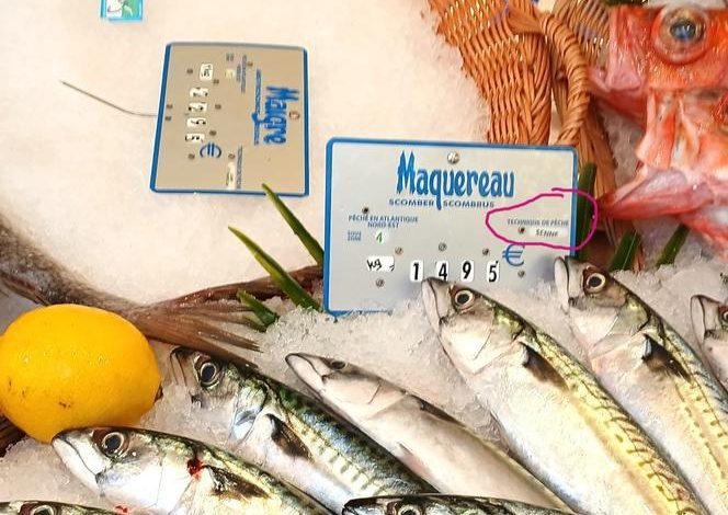 Les techniques de pêche : un voyage linguistique et historique